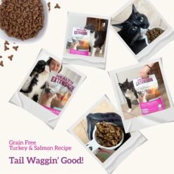 Health Extension Grain-Free Turkey & Salmon Recipe Dry Cat Food 14 Health Extension Grain-Free Turkey & Salmon Recipe Dry Cat Food -Wellness Sales 84265 PT6. AC SS1800 V1595642460