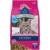 Blue Buffalo Wilderness Salmon Recipe Grain-Free Dry Cat Food