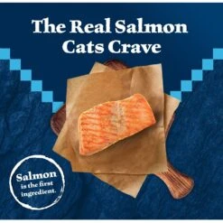Blue Buffalo Wilderness Salmon Recipe Grain-Free Dry Cat Food 9 Blue Buffalo Wilderness Salmon Recipe Grain-Free Dry Cat Food -Wellness Sales 84281 PT2. AC SS1800 V1689282790