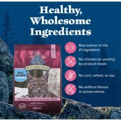 Blue Buffalo Wilderness Salmon Recipe Grain-Free Dry Cat Food 12 Blue Buffalo Wilderness Salmon Recipe Grain-Free Dry Cat Food -Wellness Sales 84281 PT5. AC SS1800 V1689356431