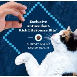 Blue Buffalo Wilderness Salmon Recipe Grain-Free Dry Cat Food 13 Blue Buffalo Wilderness Salmon Recipe Grain-Free Dry Cat Food -Wellness Sales 84281 PT6. AC SS1800 V1689357650