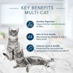 Blue Buffalo Tastefuls Multi Cat Natural Chicken & Turkey Adult Dry Cat Food 13 Blue Buffalo Tastefuls Multi Cat Natural Chicken & Turkey Adult Dry Cat Food -Wellness Sales 84982 PT4. AC SS1800 V1692646637