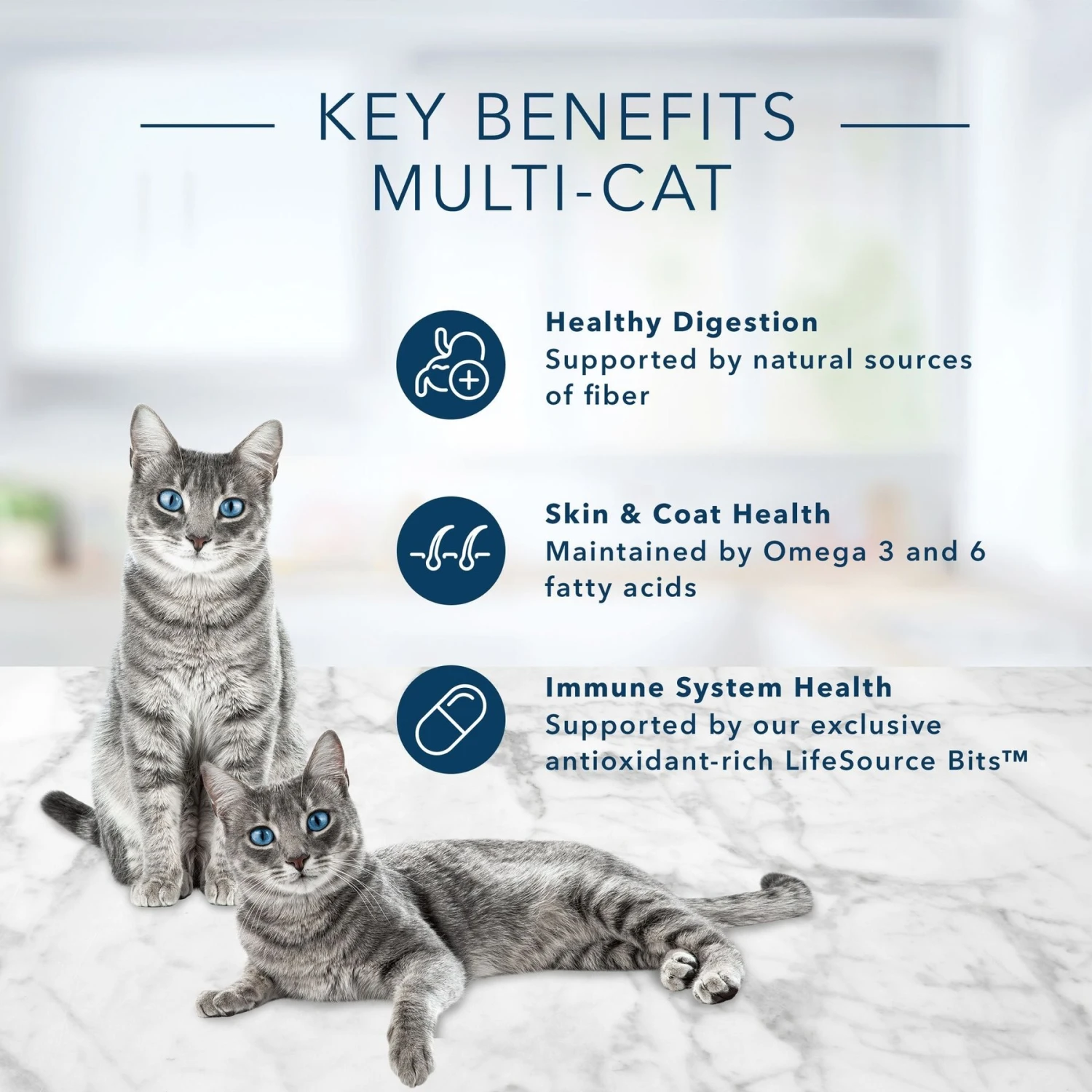 Blue Buffalo Tastefuls Multi Cat Natural Chicken & Turkey Adult Dry Cat Food 5 Blue Buffalo Tastefuls Multi Cat Natural Chicken & Turkey Adult Dry Cat Food - Image 5