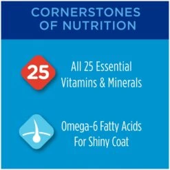 Purina Friskies Seafood & Chicken Pate Favorites Variety Pack Wet Cat Food, 5.5-oz Can, Case Of 40 & Cat Chow Complete With Chicken & Vitamins Dry Cat Food 16 Purina Friskies Seafood & Chicken Pate Favorites Variety Pack Wet Cat Food, 5.5-oz Can, Case Of 40 & Cat Chow Complete With Chicken & Vitamins Dry Cat Food -Wellness Sales 854310 PT7. AC SS1800 V1683744273