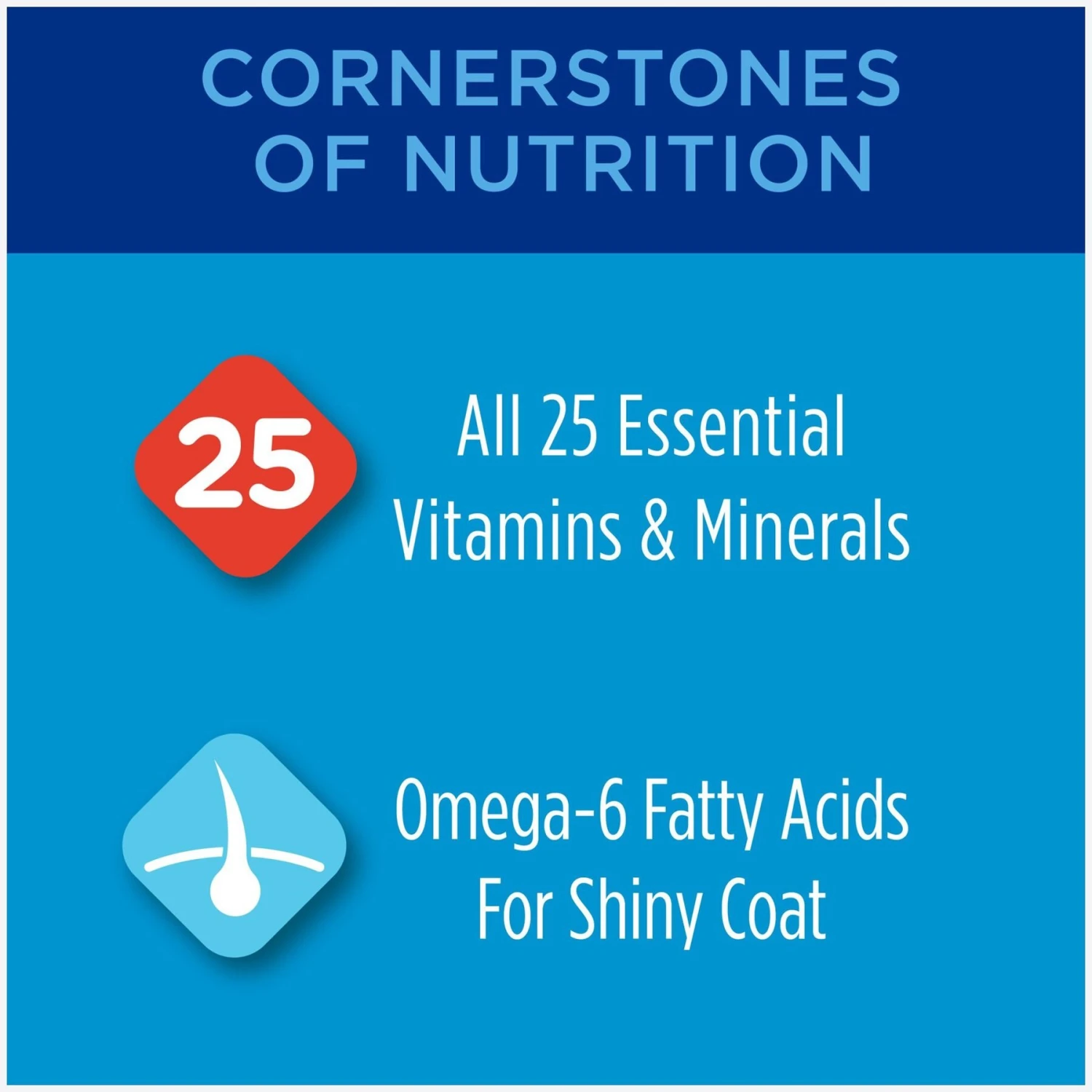 Purina Friskies Seafood & Chicken Pate Favorites Variety Pack Wet Cat Food, 5.5-oz Can, Case Of 40 & Cat Chow Complete With Chicken & Vitamins Dry Cat Food 8 Purina Friskies Seafood & Chicken Pate Favorites Variety Pack Wet Cat Food, 5.5-oz Can, Case Of 40 & Cat Chow Complete With Chicken & Vitamins Dry Cat Food - Image 8