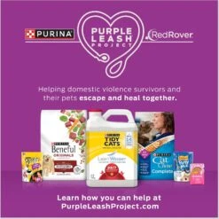 Purina Friskies Seafood & Chicken Pate Favorites Variety Pack Wet Cat Food, 5.5-oz Can, Case Of 40 & Purina Cat Chow Naturals Original With Added Vitamins, Minerals & Nutrients Dry Cat Food -Wellness Sales 854326 PT7. AC SS1800 V1683744202