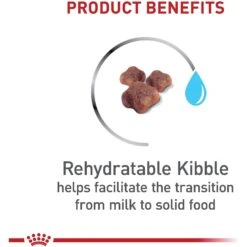 Royal Canin Feline Health Nutrition Mother & Babycat Dry Cat Food & Royal Canin Feline Health Nutrition Mother & Babycat Ultra Soft Mousse In Sauce Canned Cat Food 13 Royal Canin Feline Health Nutrition Mother & Babycat Dry Cat Food & Royal Canin Feline Health Nutrition Mother & Babycat Ultra Soft Mousse In Sauce Canned Cat Food -Wellness Sales 854358 PT4. AC SS1800 V1683744317