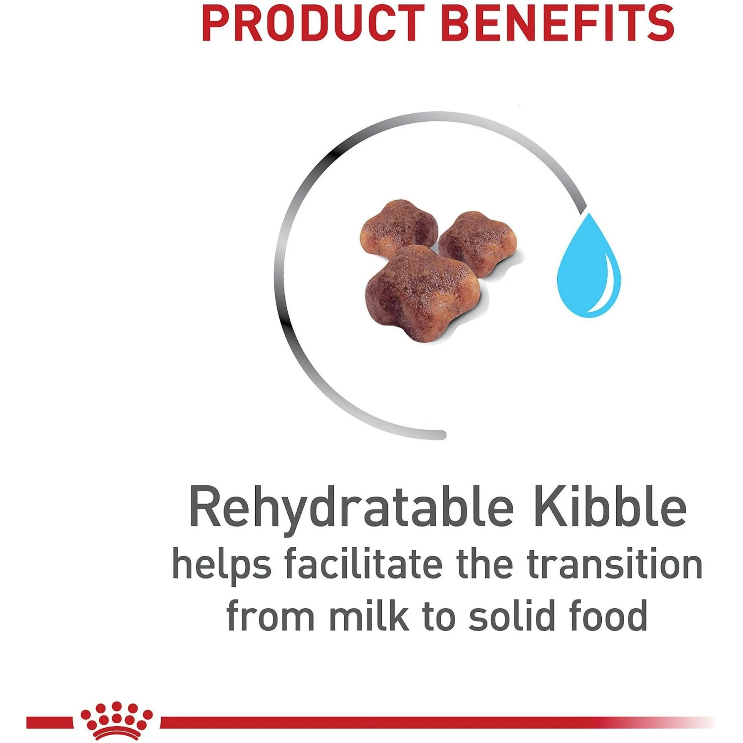 Royal Canin Feline Health Nutrition Mother & Babycat Dry Cat Food & Royal Canin Feline Health Nutrition Mother & Babycat Ultra Soft Mousse In Sauce Canned Cat Food 5 Royal Canin Feline Health Nutrition Mother & Babycat Dry Cat Food & Royal Canin Feline Health Nutrition Mother & Babycat Ultra Soft Mousse In Sauce Canned Cat Food - Image 5