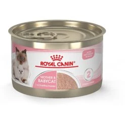 Royal Canin Feline Health Nutrition Mother & Babycat Dry Cat Food & Royal Canin Feline Health Nutrition Mother & Babycat Ultra Soft Mousse In Sauce Canned Cat Food 14 Royal Canin Feline Health Nutrition Mother & Babycat Dry Cat Food & Royal Canin Feline Health Nutrition Mother & Babycat Ultra Soft Mousse In Sauce Canned Cat Food -Wellness Sales 854358 PT5. AC SS1800 V1683744315