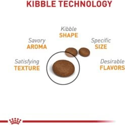 Royal Canin Feline Care Nutrition Hair & Skin Care Dry Cat Food 11 Royal Canin Feline Care Nutrition Hair & Skin Care Dry Cat Food -Wellness Sales 855854 PT2. AC SS1800 V1697739342