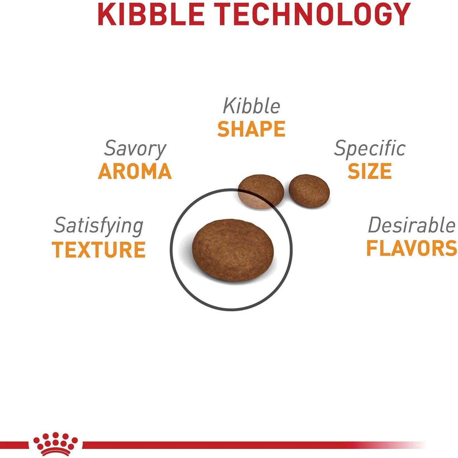 Royal Canin Feline Care Nutrition Hair & Skin Care Dry Cat Food 3 Royal Canin Feline Care Nutrition Hair & Skin Care Dry Cat Food - Image 3