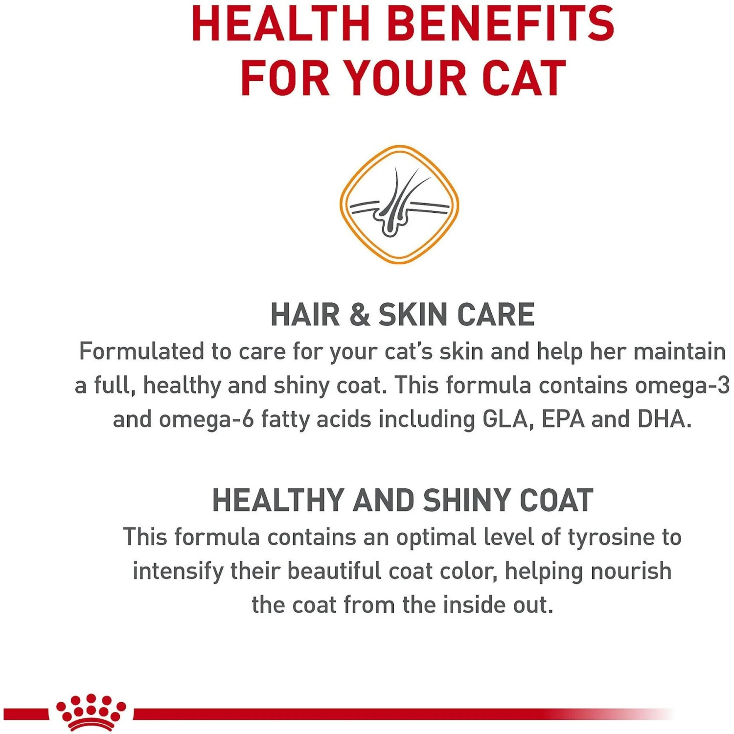Royal Canin Feline Care Nutrition Hair & Skin Care Dry Cat Food 4 Royal Canin Feline Care Nutrition Hair & Skin Care Dry Cat Food - Image 4