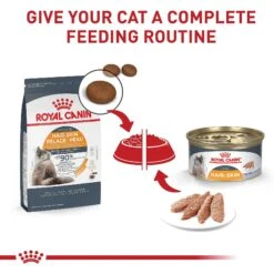 Royal Canin Feline Care Nutrition Hair & Skin Care Dry Cat Food 14 Royal Canin Feline Care Nutrition Hair & Skin Care Dry Cat Food -Wellness Sales 855854 PT5. AC SS1800 V1697758598