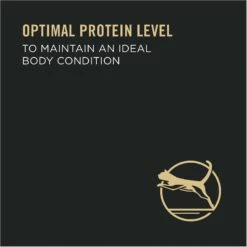 Purina Pro Plan Focus Healthy Metabolism Formula Chicken Entrée In Gravy Adult Canned Cat Food -Wellness Sales 86227 PT5. AC SS1800 V1636673801