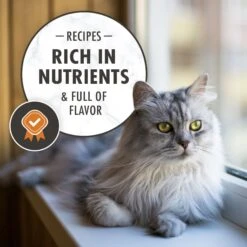 Nutro Wholesome Essentials Indoor Chicken & Brown Rice Recipe Adult Dry Cat Food 17 Nutro Wholesome Essentials Indoor Chicken & Brown Rice Recipe Adult Dry Cat Food -Wellness Sales 86712 PT8. AC SS1800 V1702666063