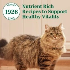 Nutro Wholesome Essentials Hairball Control Chicken & Brown Rice Recipe Adult Dry Cat Food -Wellness Sales 86768 PT8. AC SS1800 V1702665822