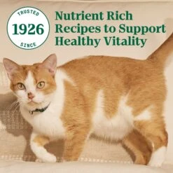 Nutro Wholesome Essentials Chicken & Brown Rice Recipe Senior Dry Cat Food -Wellness Sales 86792 PT8. AC SS1800 V1702666050