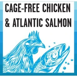 BIXBI Rawbble Dry Food Chicken Salmon Recipe For Indoor Cats, 3-lb Bag 13 BIXBI Rawbble Dry Food Chicken Salmon Recipe For Indoor Cats, 3-lb Bag -Wellness Sales 870966 PT5. AC SS1800 V1691515656