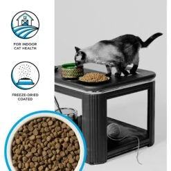 BIXBI Rawbble Dry Food Chicken Salmon Recipe For Indoor Cats, 10-lb Bag -Wellness Sales 870982 PT2. AC SS1800 V1691515544