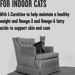 BIXBI Rawbble Dry Food Chicken Salmon Recipe For Indoor Cats, 10-lb Bag -Wellness Sales 870982 PT3. AC SS1800 V1691515655