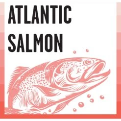 BIXBI Rawbble Dry Food Salmon Recipe For Cats, 3-lb Bag -Wellness Sales 870998 PT4. AC SS1800 V1691515598