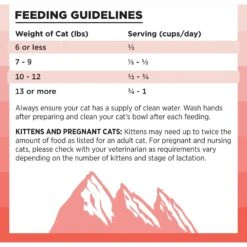 BIXBI Rawbble Dry Food Salmon Recipe For Cats, 3-lb Bag -Wellness Sales 870998 PT6. AC SS1800 V1691515537