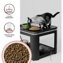 BIXBI Rawbble Dry Food Salmon Recipe For Cats, 10-lb Bag -Wellness Sales 871014 PT2. AC SS1800 V1691515537