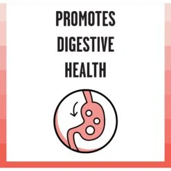 BIXBI Rawbble Dry Food Salmon Recipe For Cats, 10-lb Bag -Wellness Sales 871014 PT3. AC SS1800 V1691515542