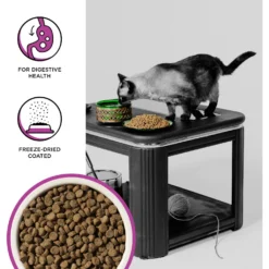 BIXBI Rawbble Dry Food Chicken Digestive Health Recipe For Cats, 10-lb Bag -Wellness Sales 871078 PT2. AC SS1800 V1691515656