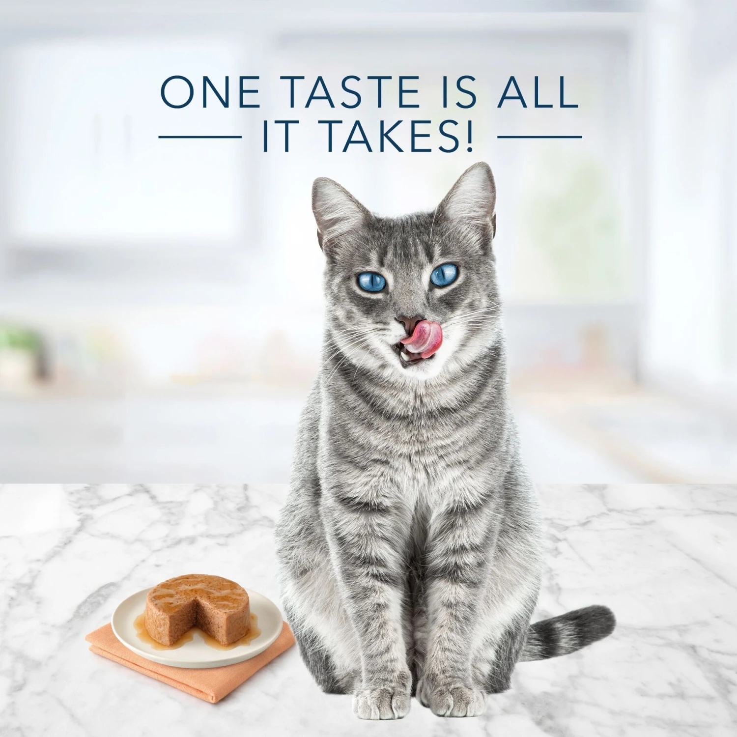 Blue Buffalo Tastefuls Natural Pate Chicken Entree Entreetree Wet Cat Food, 5.5-oz Can, Case Of 12 4 Blue Buffalo Tastefuls Natural Pate Chicken Entree Entreetree Wet Cat Food, 5.5-oz Can, Case Of 12 - Image 4