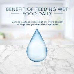 Blue Buffalo Tastefuls Natural Pate Chicken Entree Entreetree Wet Cat Food, 5.5-oz Can, Case Of 12 14 Blue Buffalo Tastefuls Natural Pate Chicken Entree Entreetree Wet Cat Food, 5.5-oz Can, Case Of 12 -Wellness Sales 879214 PT6. AC SS1800 V1687358003