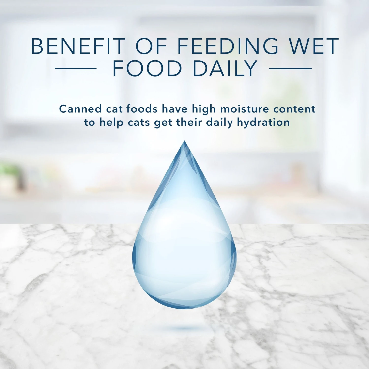 Blue Buffalo Tastefuls Natural Pate Chicken Entree Entreetree Wet Cat Food, 5.5-oz Can, Case Of 12 7 Blue Buffalo Tastefuls Natural Pate Chicken Entree Entreetree Wet Cat Food, 5.5-oz Can, Case Of 12 - Image 7