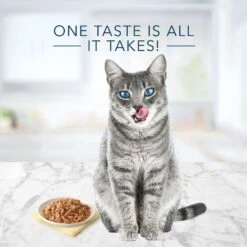 Blue Buffalo Tastefuls Natural Flaked Fish & Shrimp Entree In Gravy Wet Cat Food, 5.5-oz Can, Case Of 12 -Wellness Sales 879262 PT3. AC SS1800 V1687358671