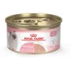 Royal Canin Feline Health Nutrition Kitten Loaf In Sauce Canned Cat Food