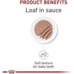 Royal Canin Feline Health Nutrition Kitten Loaf In Sauce Canned Cat Food -Wellness Sales 88020 PT3. AC SS1800 V1697733862