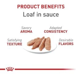 Royal Canin Adult Instinctive Loaf In Sauce Canned Cat Food 11 Royal Canin Adult Instinctive Loaf In Sauce Canned Cat Food -Wellness Sales 88021 PT2. AC SS1800 V1697762325