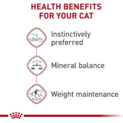Royal Canin Adult Instinctive Loaf In Sauce Canned Cat Food 12 Royal Canin Adult Instinctive Loaf In Sauce Canned Cat Food -Wellness Sales 88021 PT3. AC SS1800 V1697761937