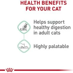 Royal Canin Feline Care Nutrition Digestive Care Loaf In Sauce Canned Cat Food 12 Royal Canin Feline Care Nutrition Digestive Care Loaf In Sauce Canned Cat Food -Wellness Sales 88026 PT3. AC SS1800 V1697734508
