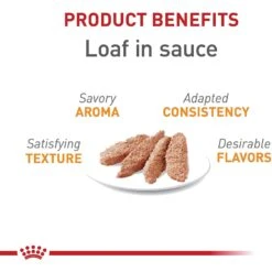 Royal Canin Feline Care Nutrition Hair & Skin Care Loaf In Sauce Canned Cat Food 11 Royal Canin Feline Care Nutrition Hair & Skin Care Loaf In Sauce Canned Cat Food -Wellness Sales 88027 PT2. AC SS1800 V1697753768