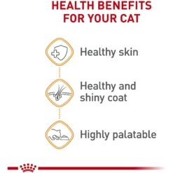 Royal Canin Feline Care Nutrition Hair & Skin Care Loaf In Sauce Canned Cat Food 12 Royal Canin Feline Care Nutrition Hair & Skin Care Loaf In Sauce Canned Cat Food -Wellness Sales 88027 PT3. AC SS1800 V1697732903