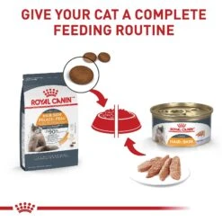 Royal Canin Feline Care Nutrition Hair & Skin Care Loaf In Sauce Canned Cat Food 14 Royal Canin Feline Care Nutrition Hair & Skin Care Loaf In Sauce Canned Cat Food -Wellness Sales 88027 PT5. AC SS1800 V1697732910