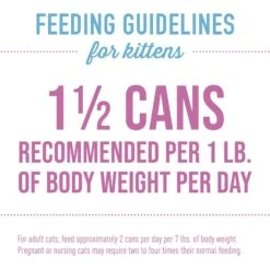 Tiki Cat Baby Chicken, Duck, & Duck Liver Shreds Grain-Free Wet Cat Food, 2.4-oz Can, Case Of 12 13 Tiki Cat Baby Chicken, Duck, & Duck Liver Shreds Grain-Free Wet Cat Food, 2.4-oz Can, Case Of 12 -Wellness Sales 883638 PT5. AC SS1800 V1690567214