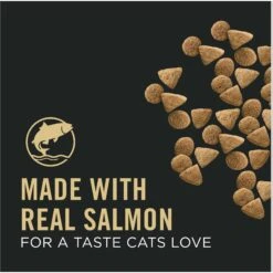 Purina Pro Plan Vital Systems Salmon & Egg Formula 4-in-1 Dry Cat Food -Wellness Sales 886014 PT2. AC SS1800 V1688580556