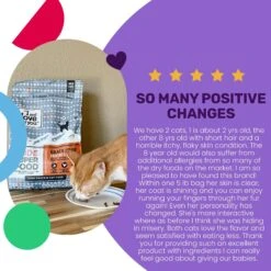 I And Love And You Nude Food Poultry A Plenty Grain-Free Dry Cat Food 12 I And Love And You Nude Food Poultry A Plenty Grain-Free Dry Cat Food -Wellness Sales 89290 PT3. AC SS1800 V1688157528