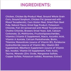 Iams ProActive Health Kitten Dry Cat Food & Temptations Salmon & Dairy Flavor Crunchy & Soft Kitten Treats -Wellness Sales 894270 PT3. AC SS1800 V1687200664