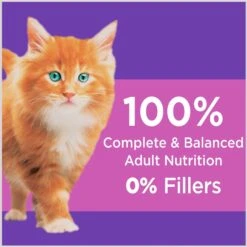 Iams ProActive Health Kitten Dry Cat Food & Temptations Salmon & Dairy Flavor Crunchy & Soft Kitten Treats -Wellness Sales 894270 PT4. AC SS1800 V1687200652