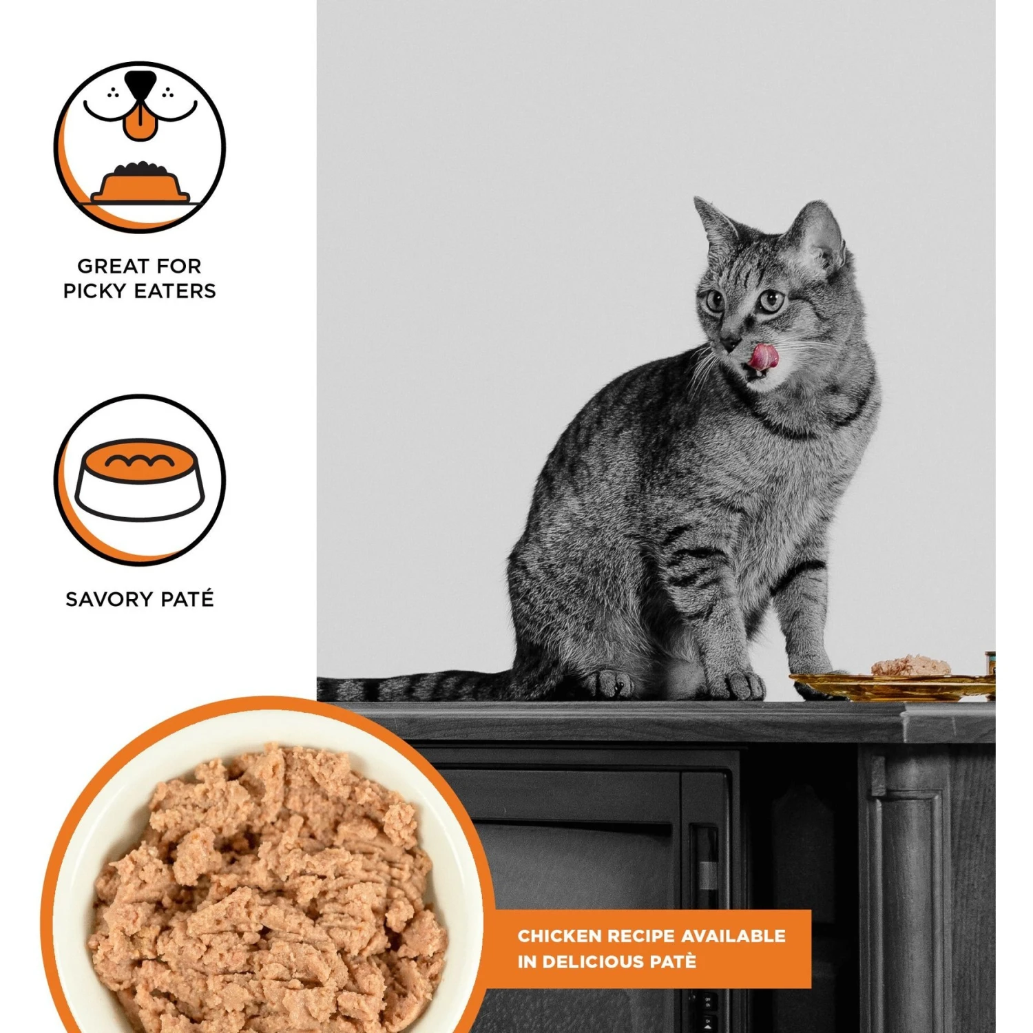 BIXBI Rawbble Chicken Pate Wet Food For Cats, 2.75-oz Can, Case Of 24 2 BIXBI Rawbble Chicken Pate Wet Food For Cats, 2.75-oz Can, Case Of 24 - Image 2