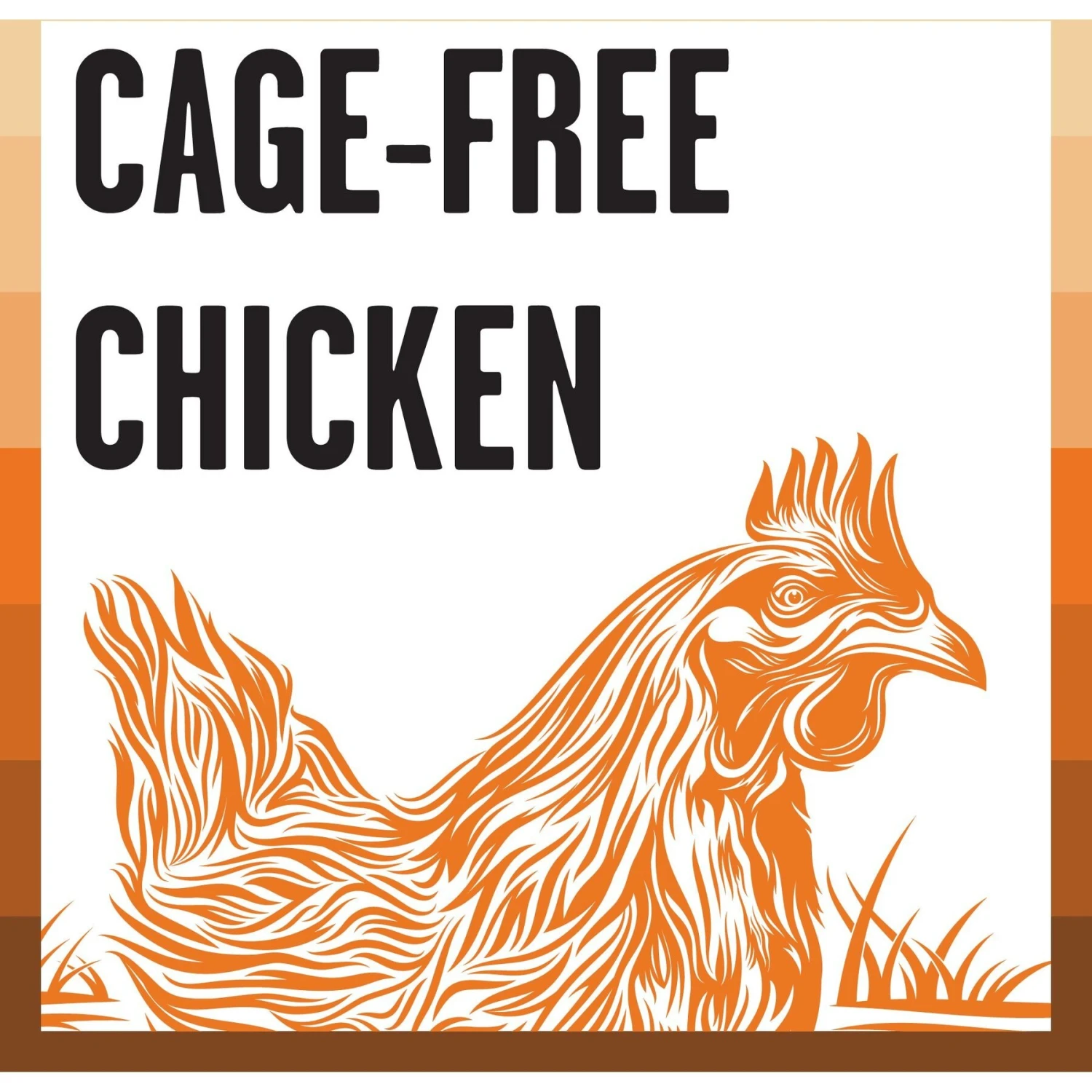 BIXBI Rawbble Chicken Pate Wet Food For Cats, 2.75-oz Can, Case Of 24 3 BIXBI Rawbble Chicken Pate Wet Food For Cats, 2.75-oz Can, Case Of 24 - Image 3