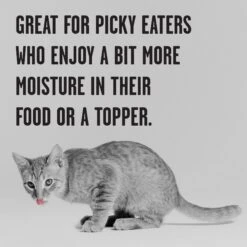 BIXBI Rawbble Chicken Pate Wet Food For Kittens, 2.75-oz Can, Case Of 24 -Wellness Sales 895326 PT4. AC SS1800 V1689010876