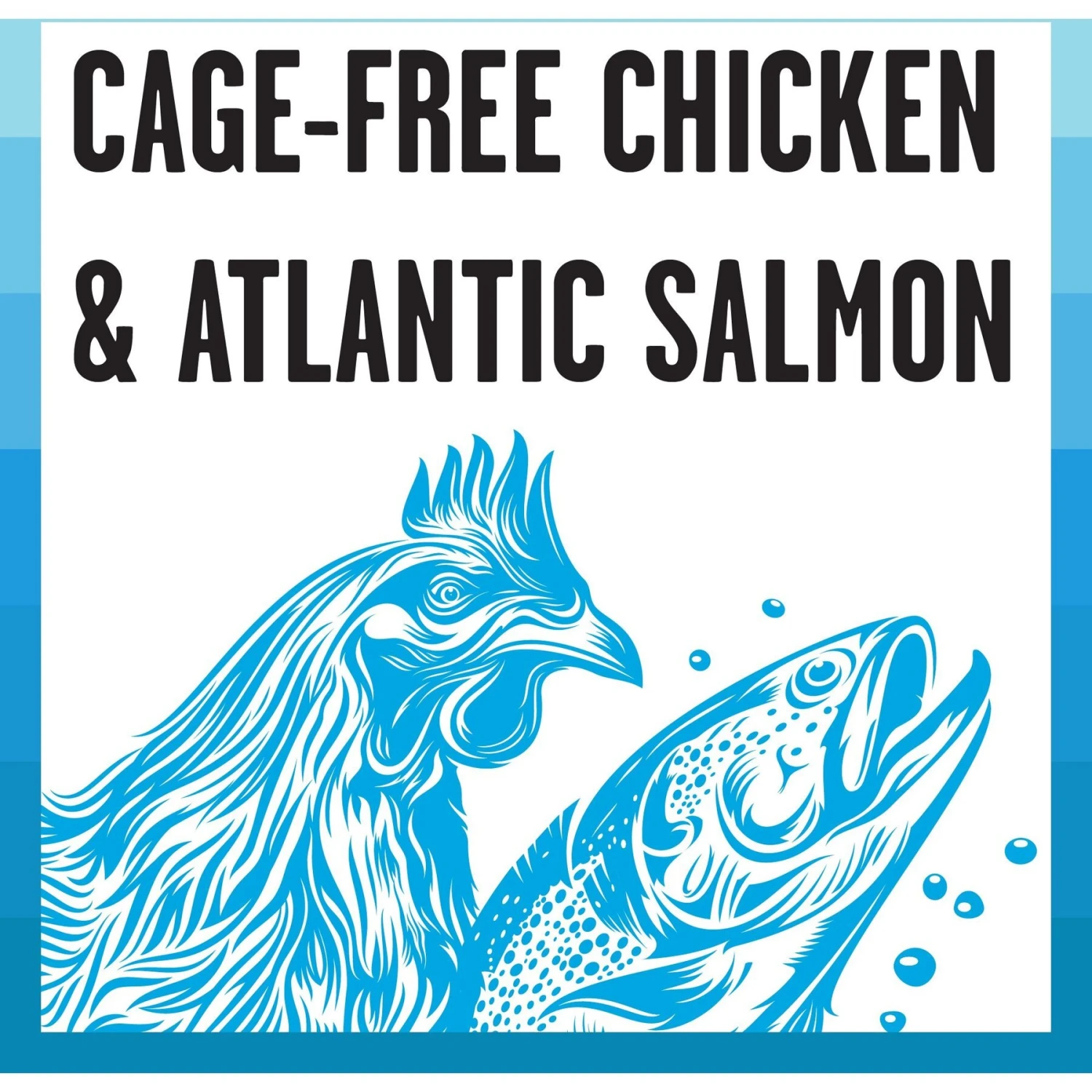 BIXBI Rawbble Chicken & Salmon Shreds In Broth Wet Food For Cats, 2.75-oz Can, Case Of 24 3 BIXBI Rawbble Chicken & Salmon Shreds In Broth Wet Food For Cats, 2.75-oz Can, Case Of 24 - Image 3